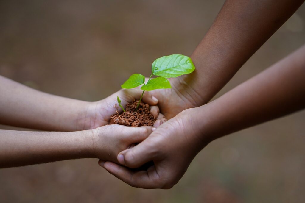 hands, soil, plant-5618240.jpg